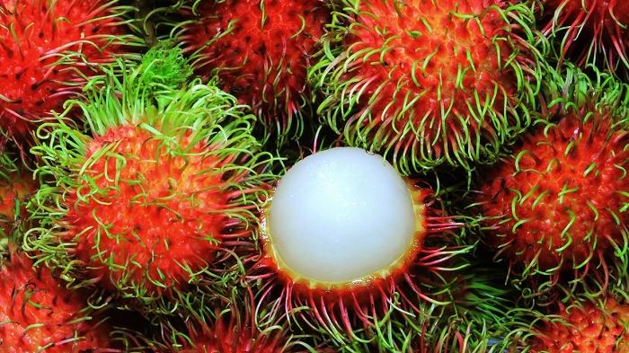 Disinformasi Bahaya Makan Rambutan Sambil Minum Teh Manis Sebabkan Penyumbatan Saluran Pernapasan Turnbackhoax Id