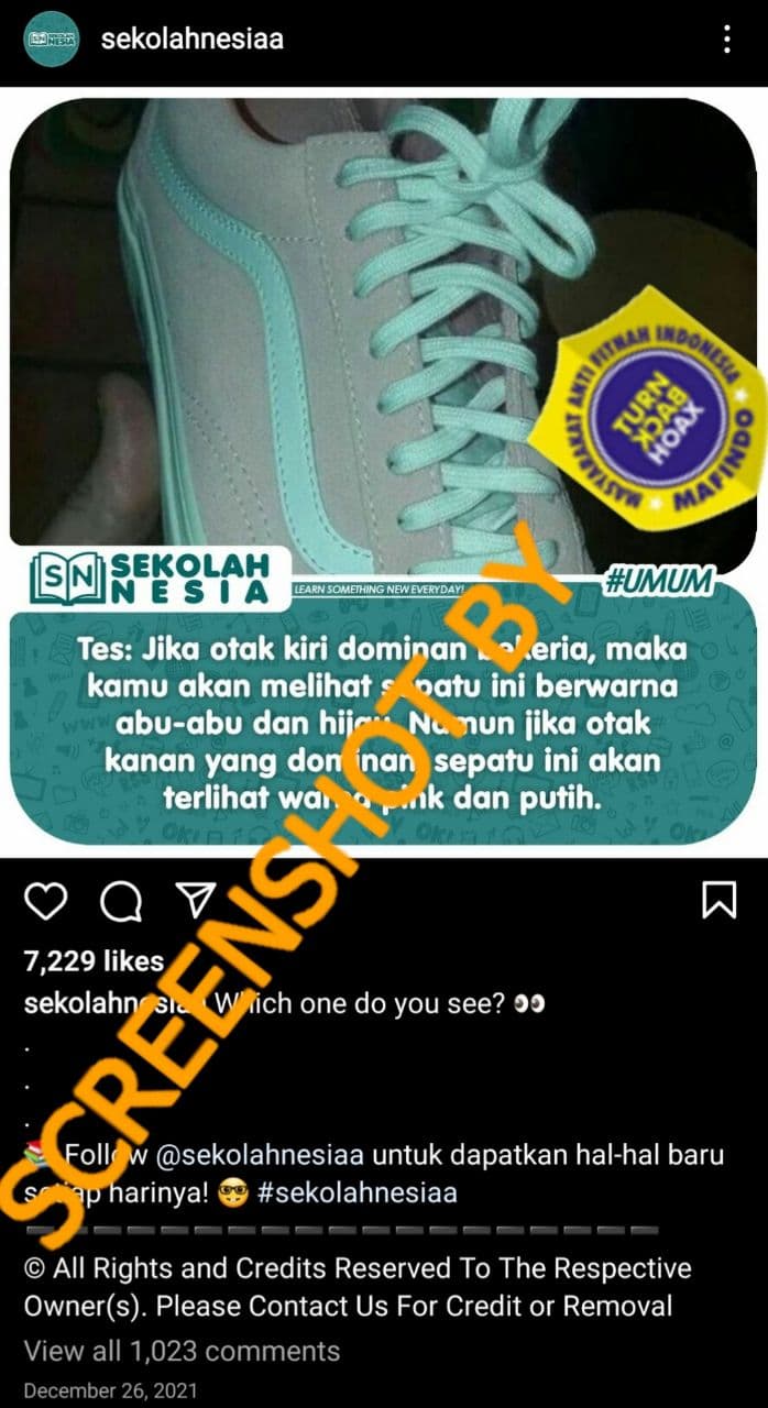 [salah] Tes Warna Sepatu Untuk Menentukan Sisi Otak Yang Dominan