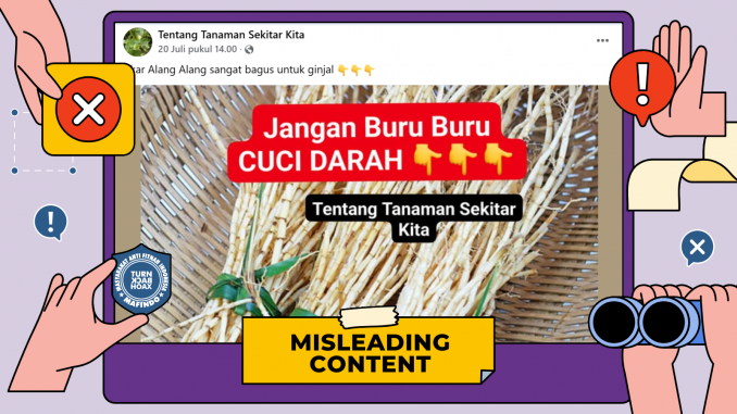 header akar alang-alang gantikan cuci darah